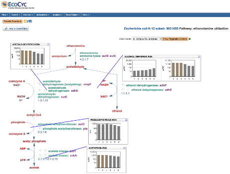 Pathway with Omics Data